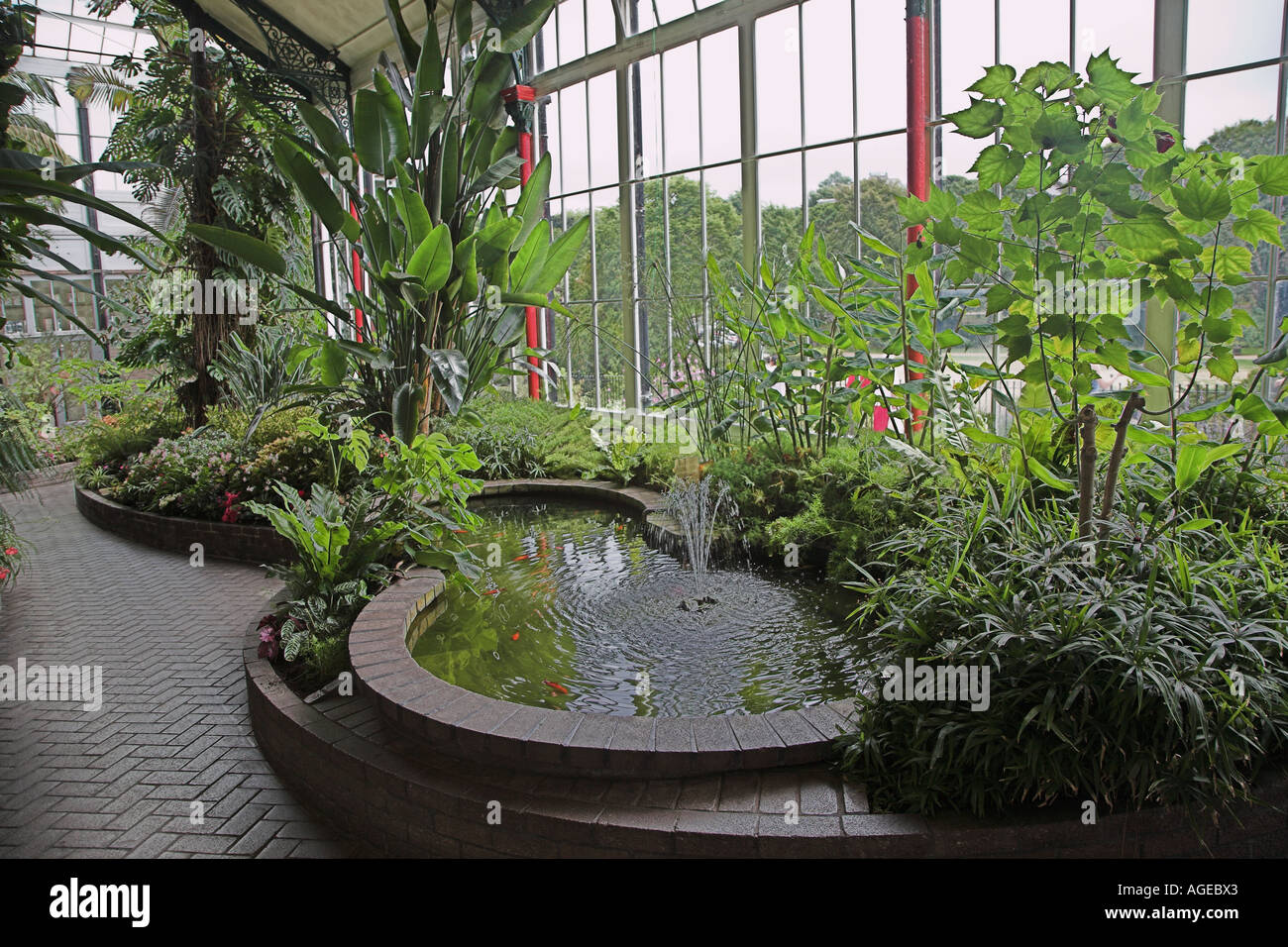 Giardino tropicale piante interno serra Pavilion Buxton Derbyshire Inghilterra Foto Stock