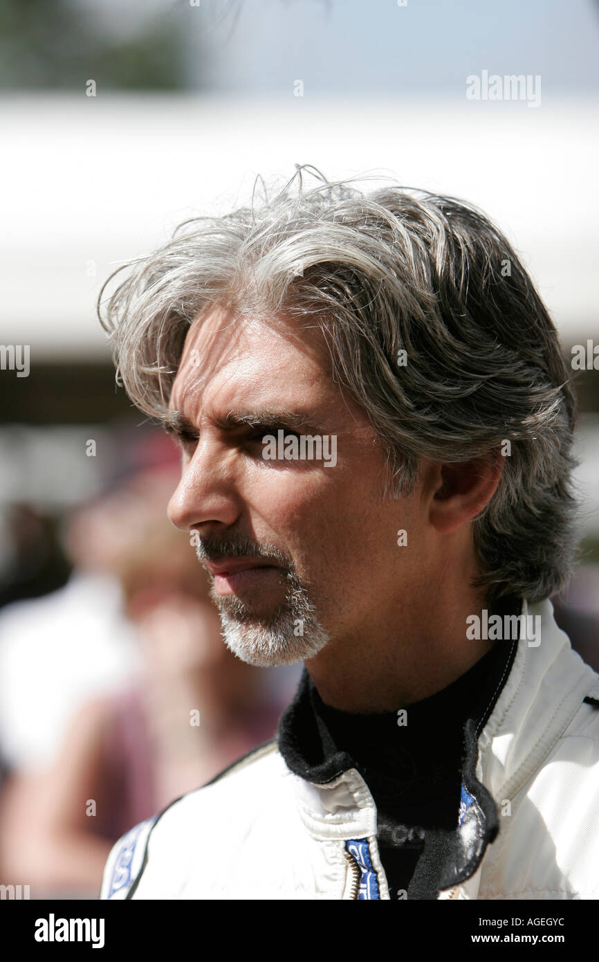 Damon Hill Foto Stock