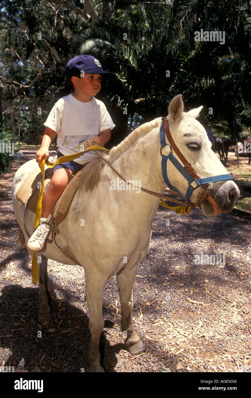 1, un ragazzo argentino, ragazzo di equitazione, a cavallo presso Estancia Santa Susana città di Los Cardales, Provincia di Buenos Aires, Argentina, Sud America Foto Stock