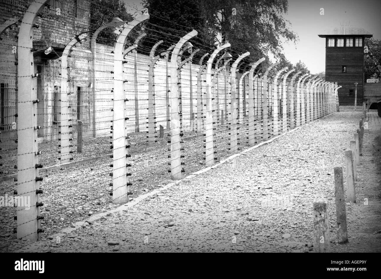 Campo di concentramento nazista di Auschwitz Birkenau, Oswiecim Polonia