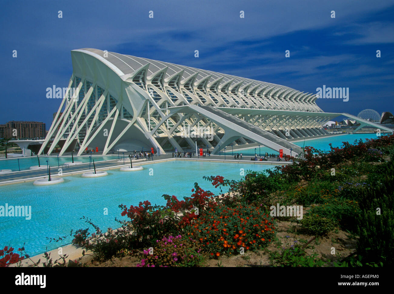 Il principe Felipe Science Museum, il Science Museum, Città delle Arti e delle scienze Park, Valencia, provincia di Valencia, Spagna, Europa Foto Stock