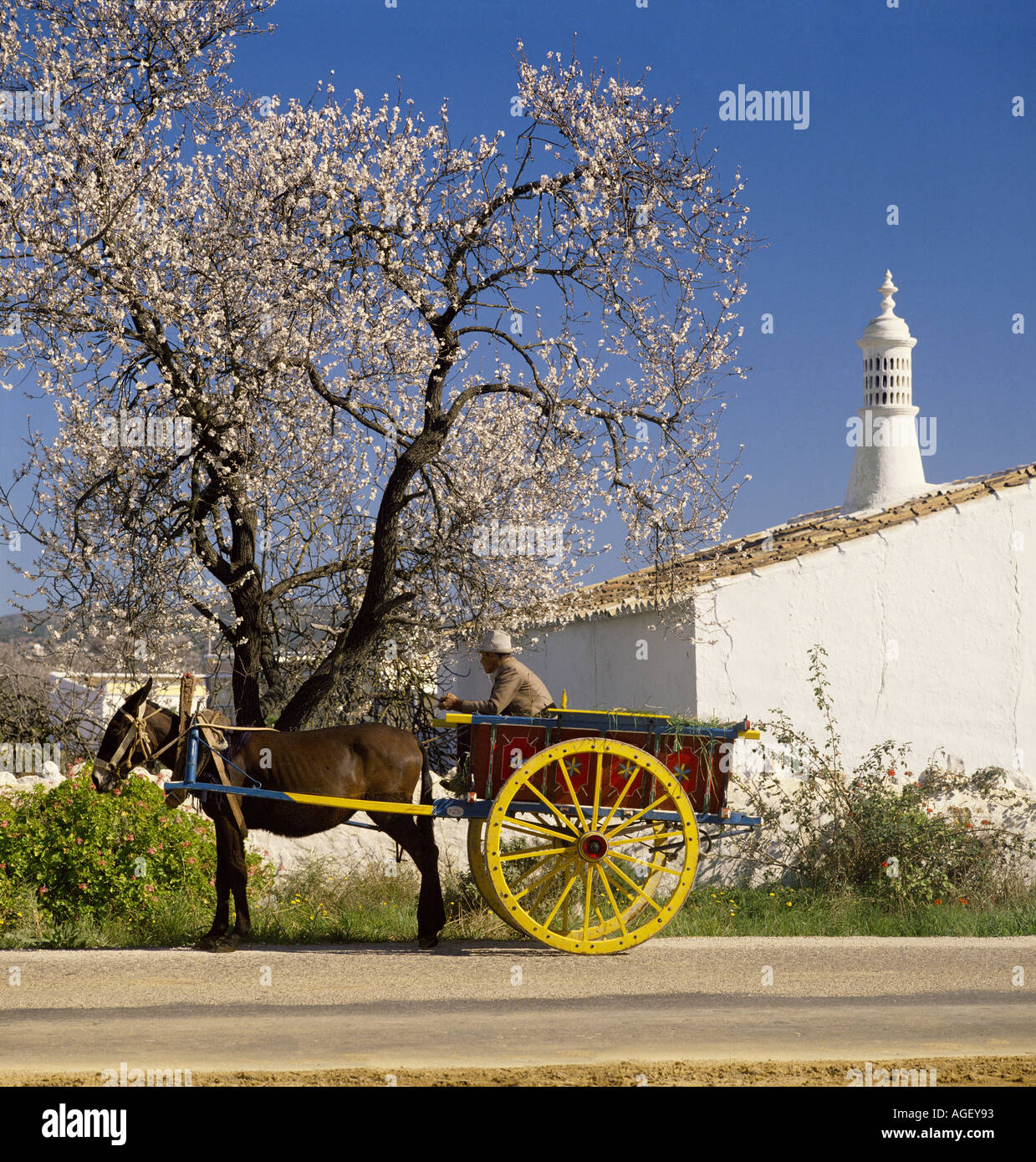 Rustico carrello mulo e mandorli in fiore, con camino in stile moresco sul rustico in Algarve Portogallo Foto Stock