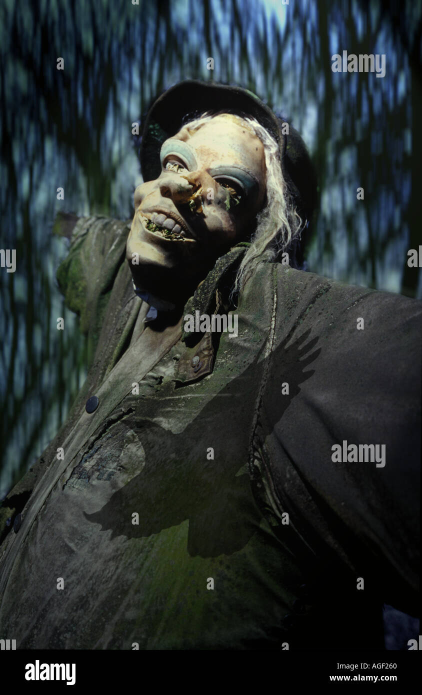 Lo Spaventapasseri con l'ombra di una cornacchia passando al di sopra di Foto Stock