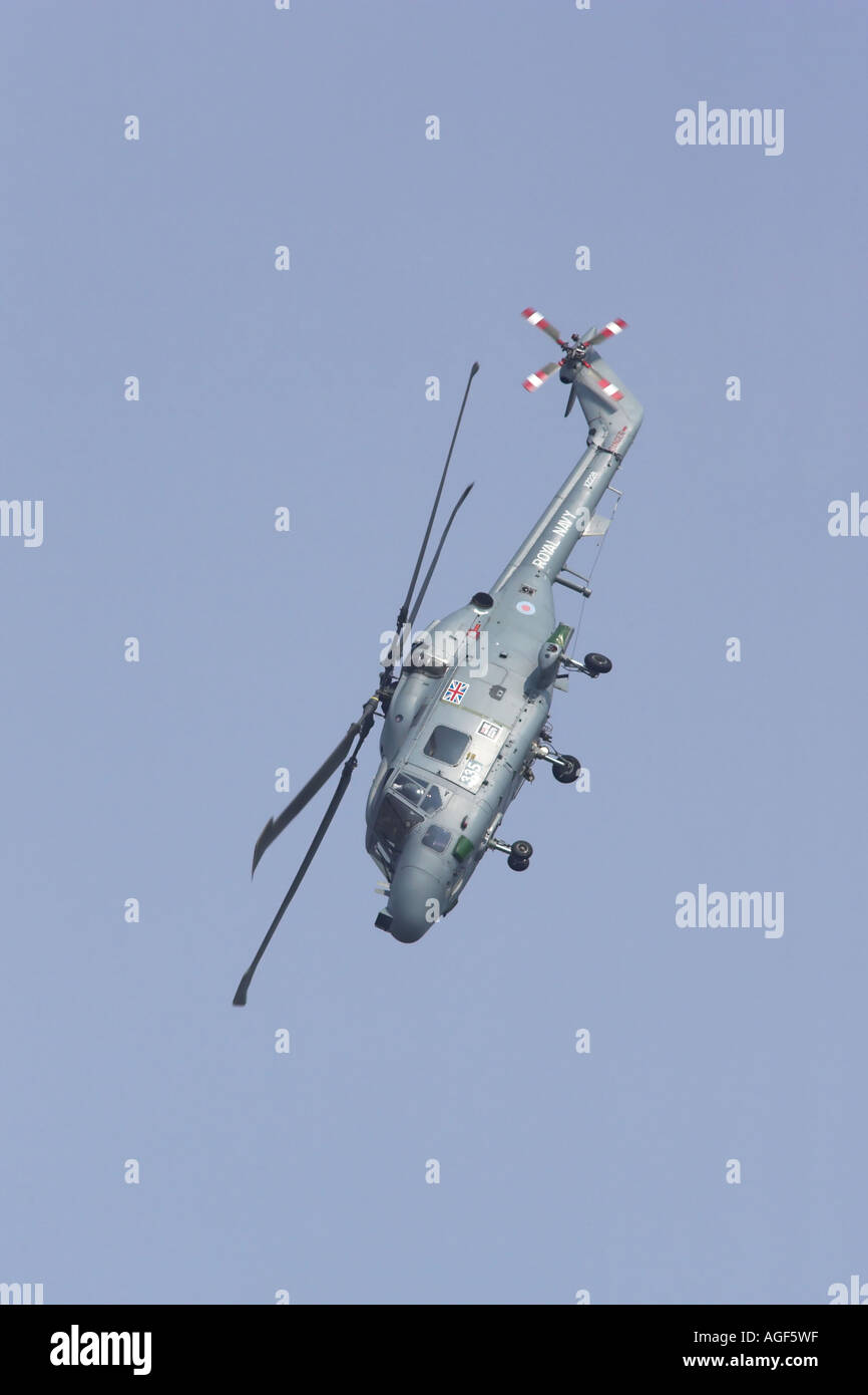 Westland Lynx Royal Navy Display elicottero aereo che andando in un immersione verticale Foto Stock