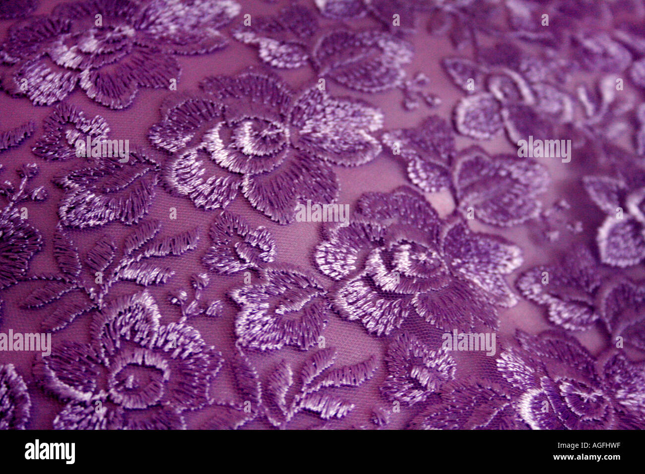 Close up intricato Ricamo su tessuto Foto Stock