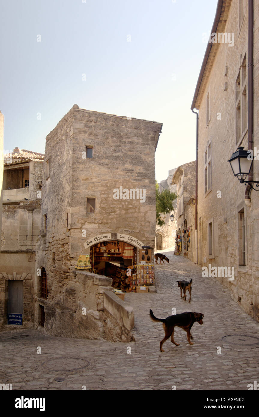 I cani randagi in esecuzione attraverso le strette strade di ciottoli di Baux de Provence, Francia Foto Stock