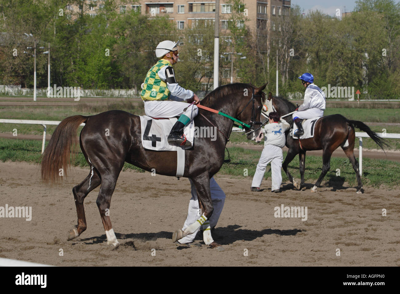 Arabian racing. Il Paddock Foto Stock