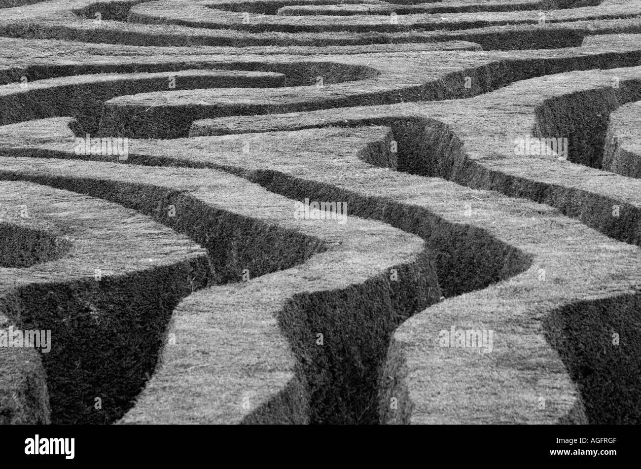 Maze Abstract Longleat Wiltshire Regno Unito Foto Stock