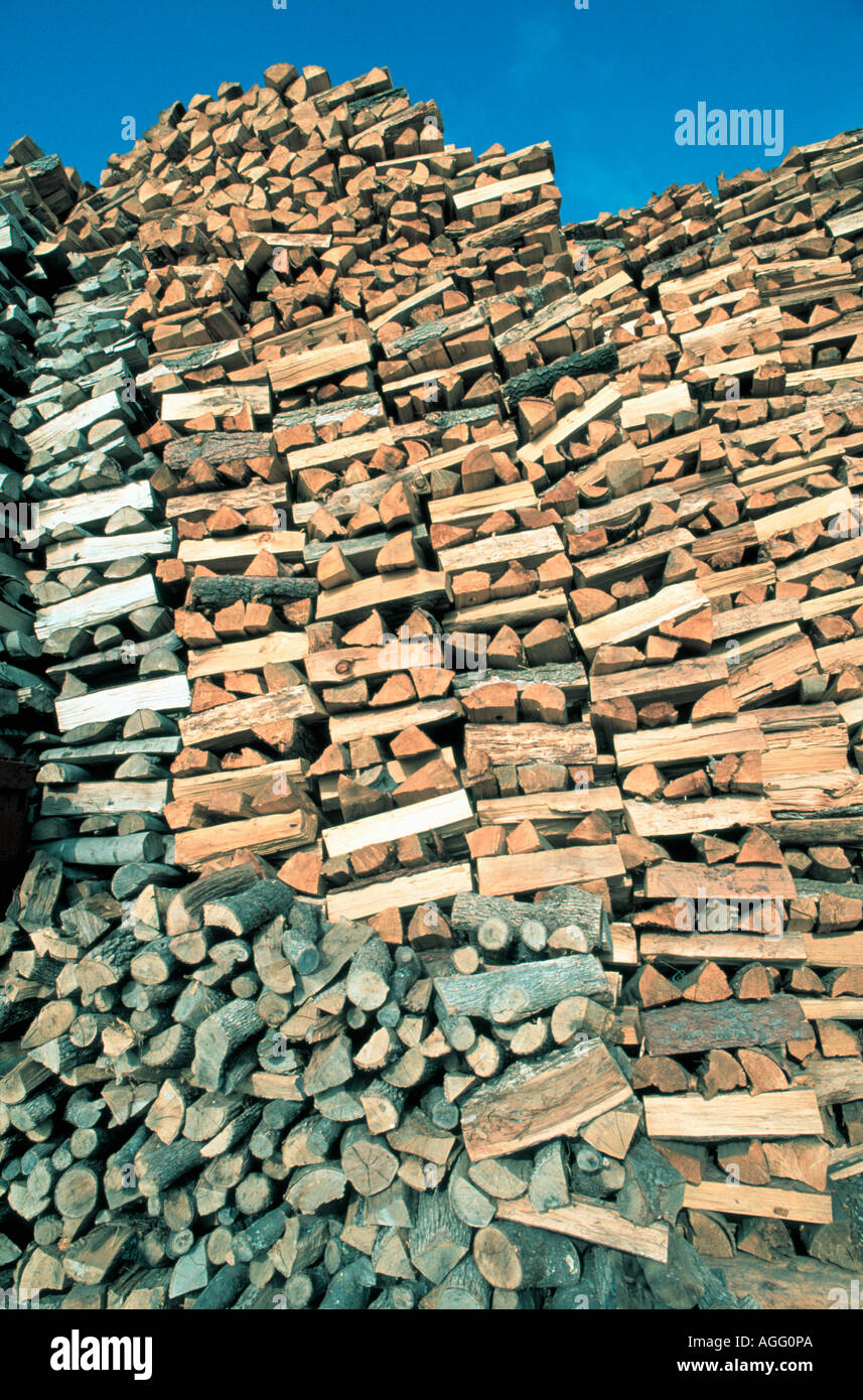 Catasta di legno/logs, Svezia Foto Stock