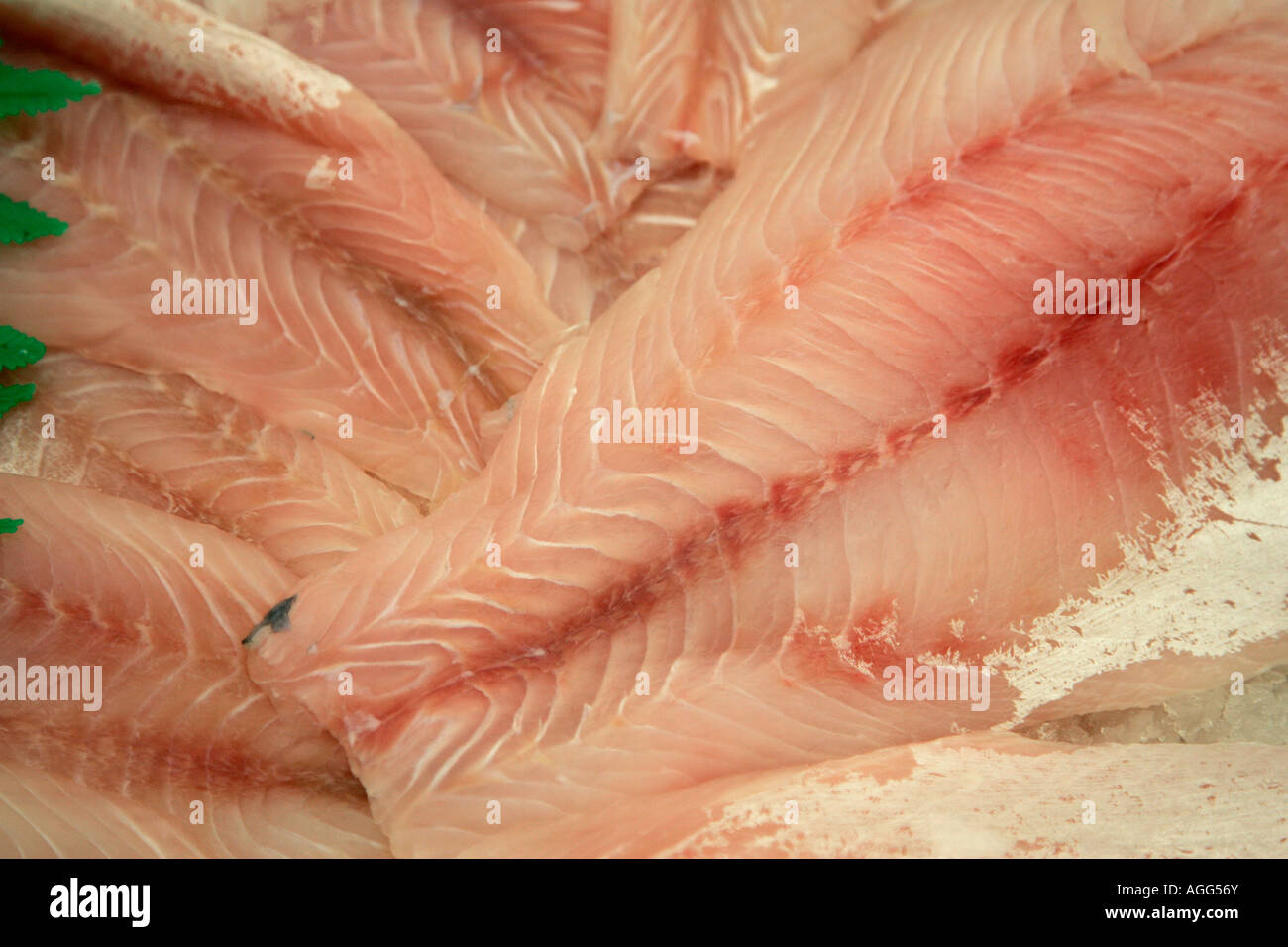 Pesce di mare ace alimentare shop ocean spagnolo spagna Foto Stock