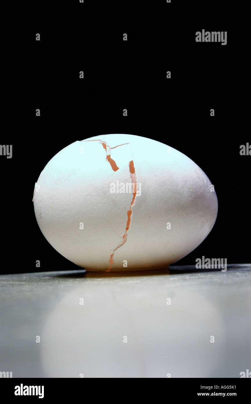 crepa in uovo Foto Stock