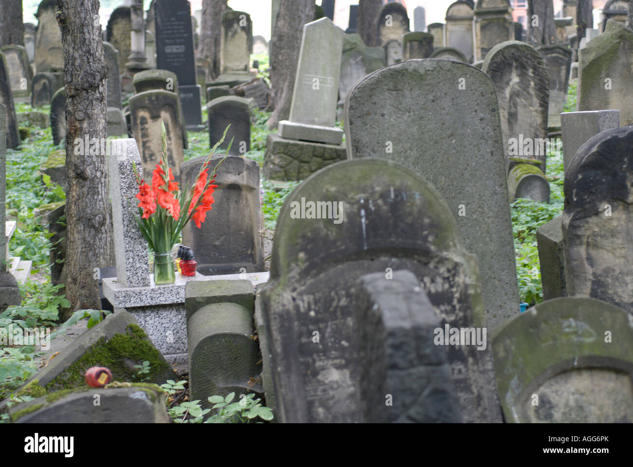Il vecchio cimitero ebraico Kasimierz nel distretto di Cracovia in Polonia Foto Stock
