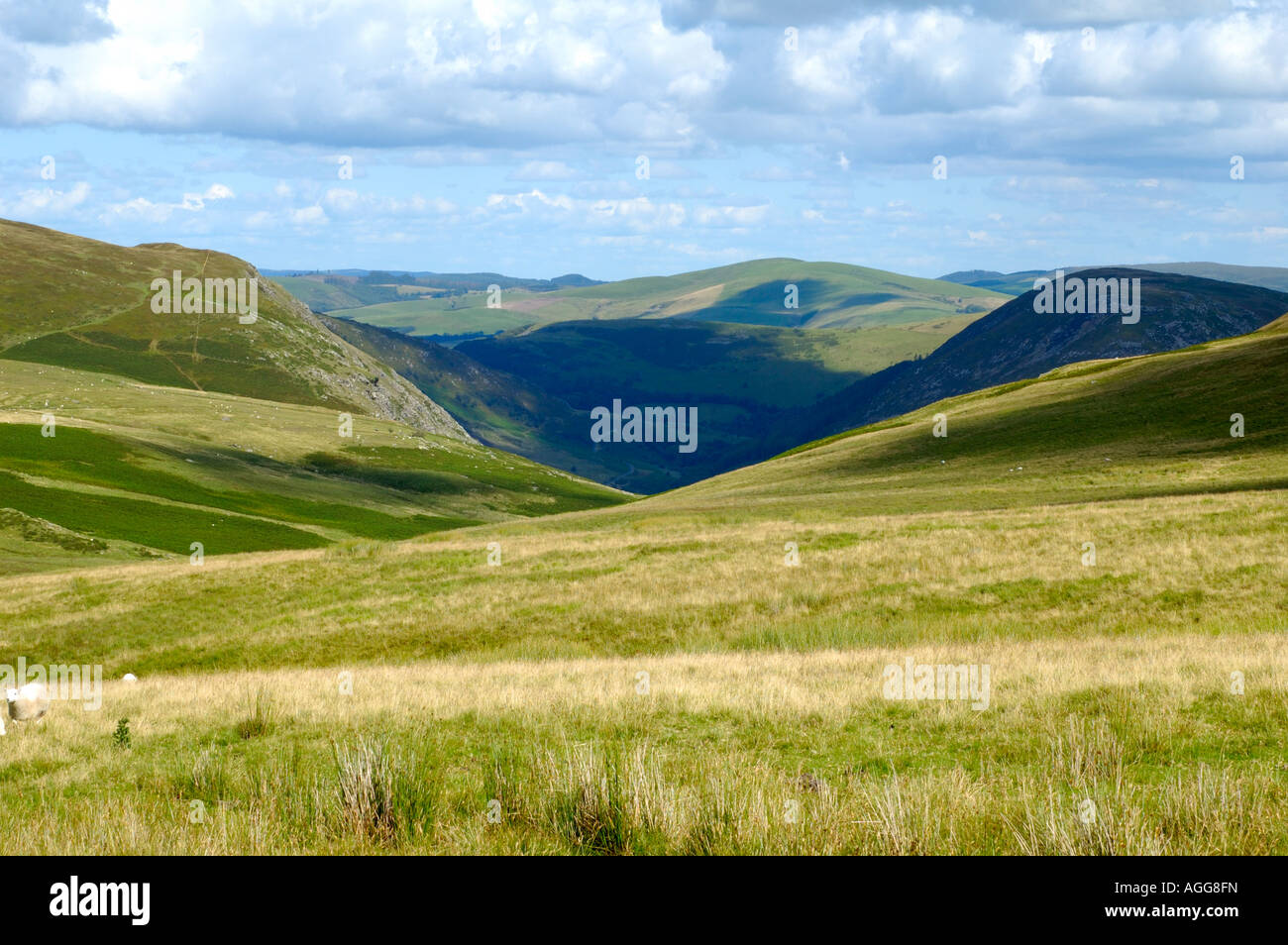 Vista nord sopra Rhayader / Elan Valley Foto Stock