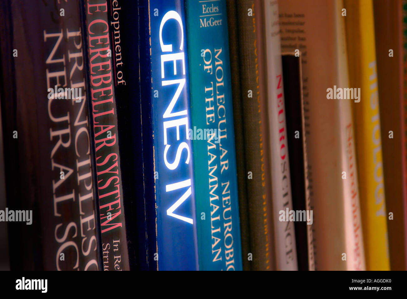 La letteratura scientifica/dizionari in uno scaffale Foto Stock