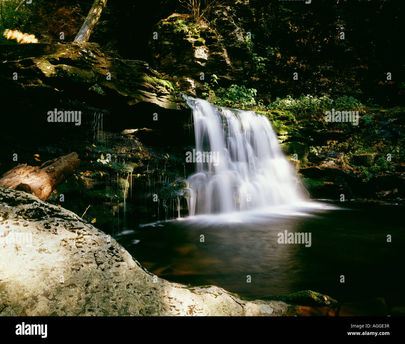 Cayuga cade 11' In Ricketts Glen State Park (13,050 acri), Luzerne County, Pennsylvania, Stati Uniti d'America, Foto Stock