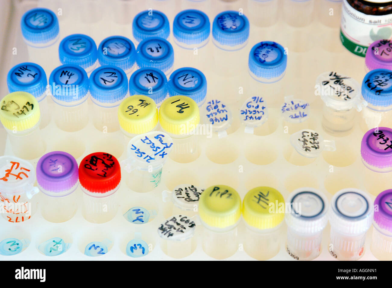 Campioni in congelatore contenente materiale per la modificazione genetica / ingegnerizzati (cioè enzimi di restrizione, particelle molecolari utilizzati Foto Stock