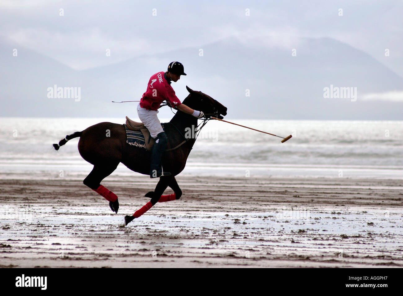 Polo (con i cavalli) sulla spiaggia, nella costa occidentale dell' Irlanda Foto Stock