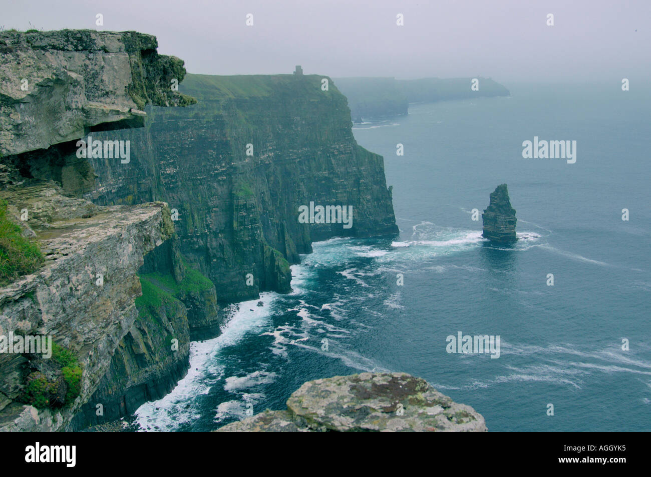 Scogliere di Moher, County Clare, nella costa occidentale dell' Irlanda Foto Stock