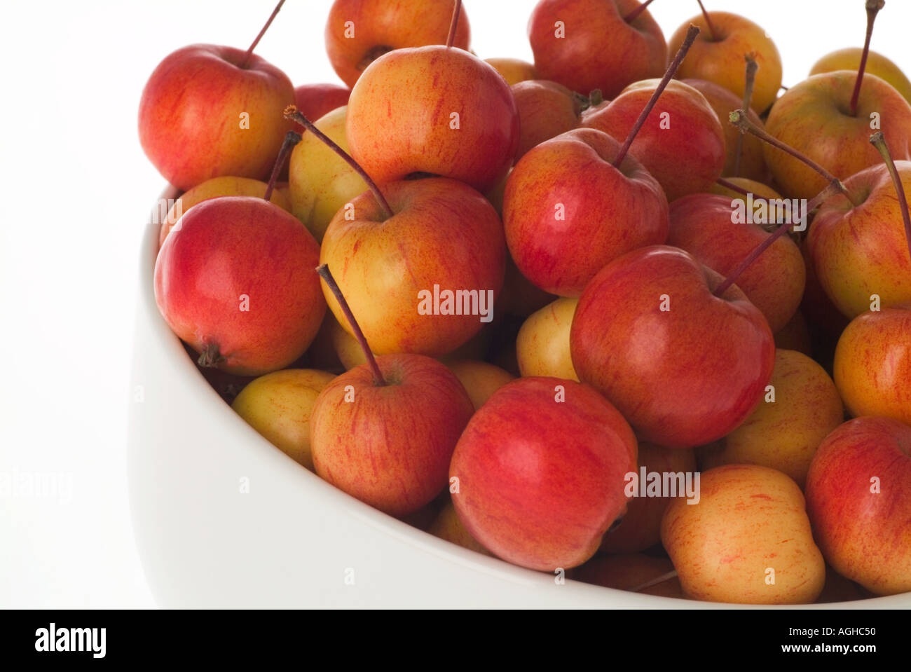 In prossimità di frutti di Malus Everest Foto Stock