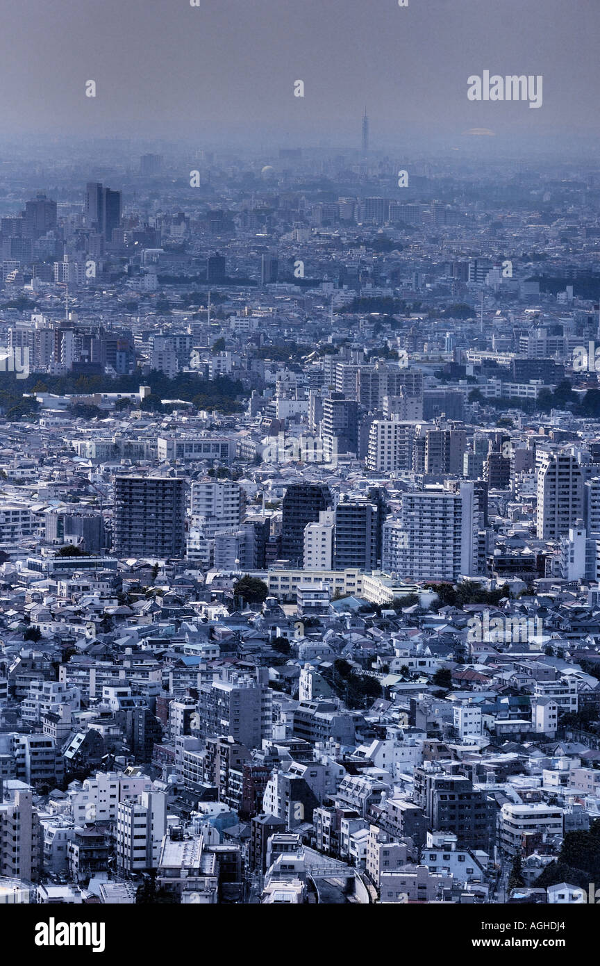 Vista sulla Tokyo, Tokyo, Giappone Foto Stock