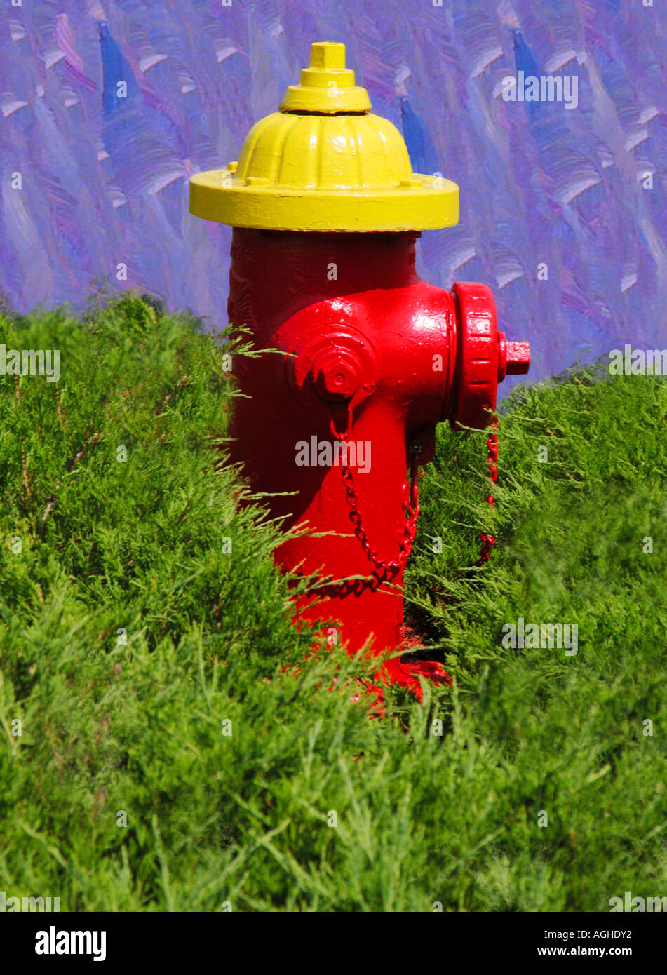 Un rosso e giallo idrante di fuoco circondato da erba Foto Stock