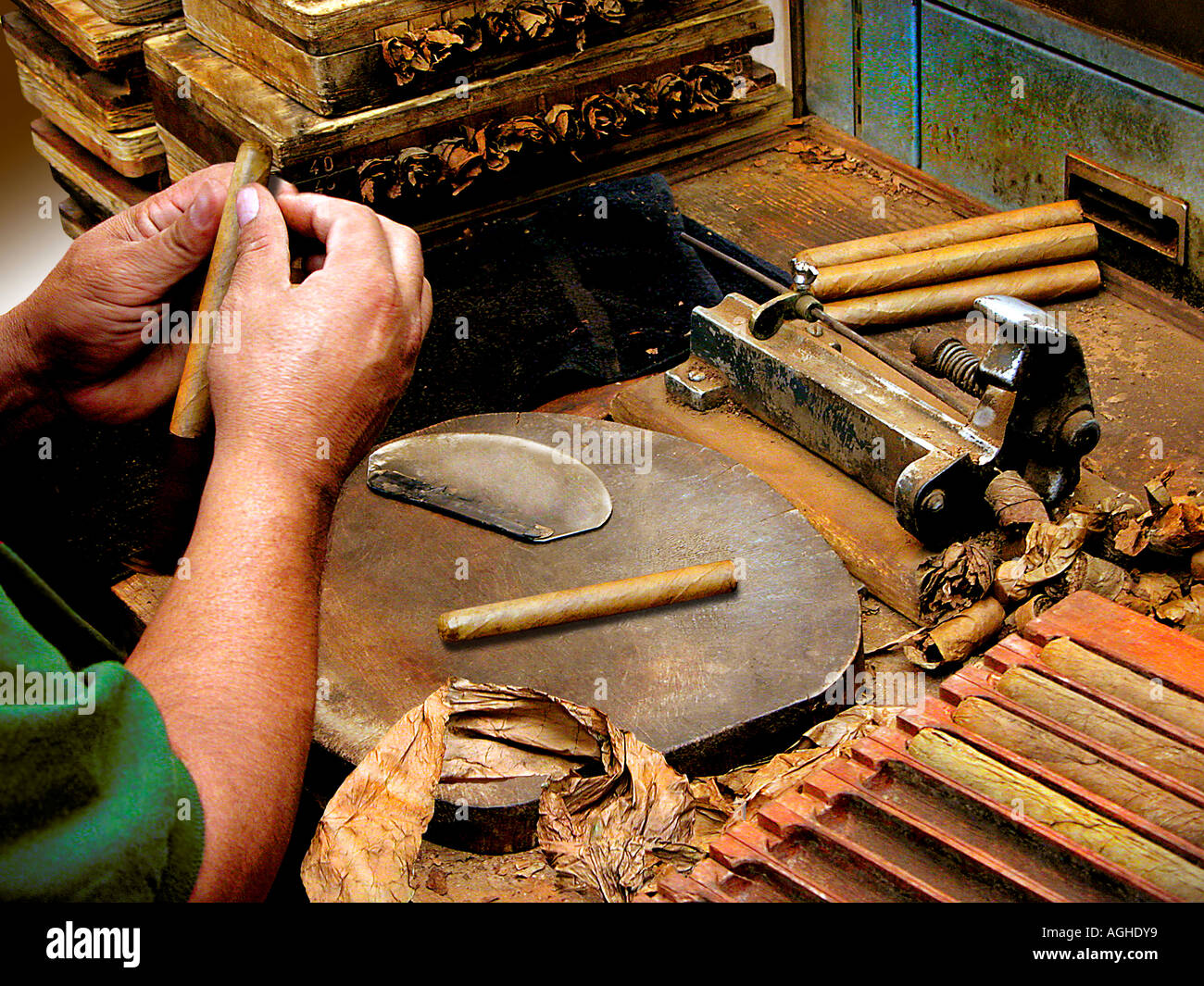Un sigaro maker laminazione sigari fatti a mano Foto Stock