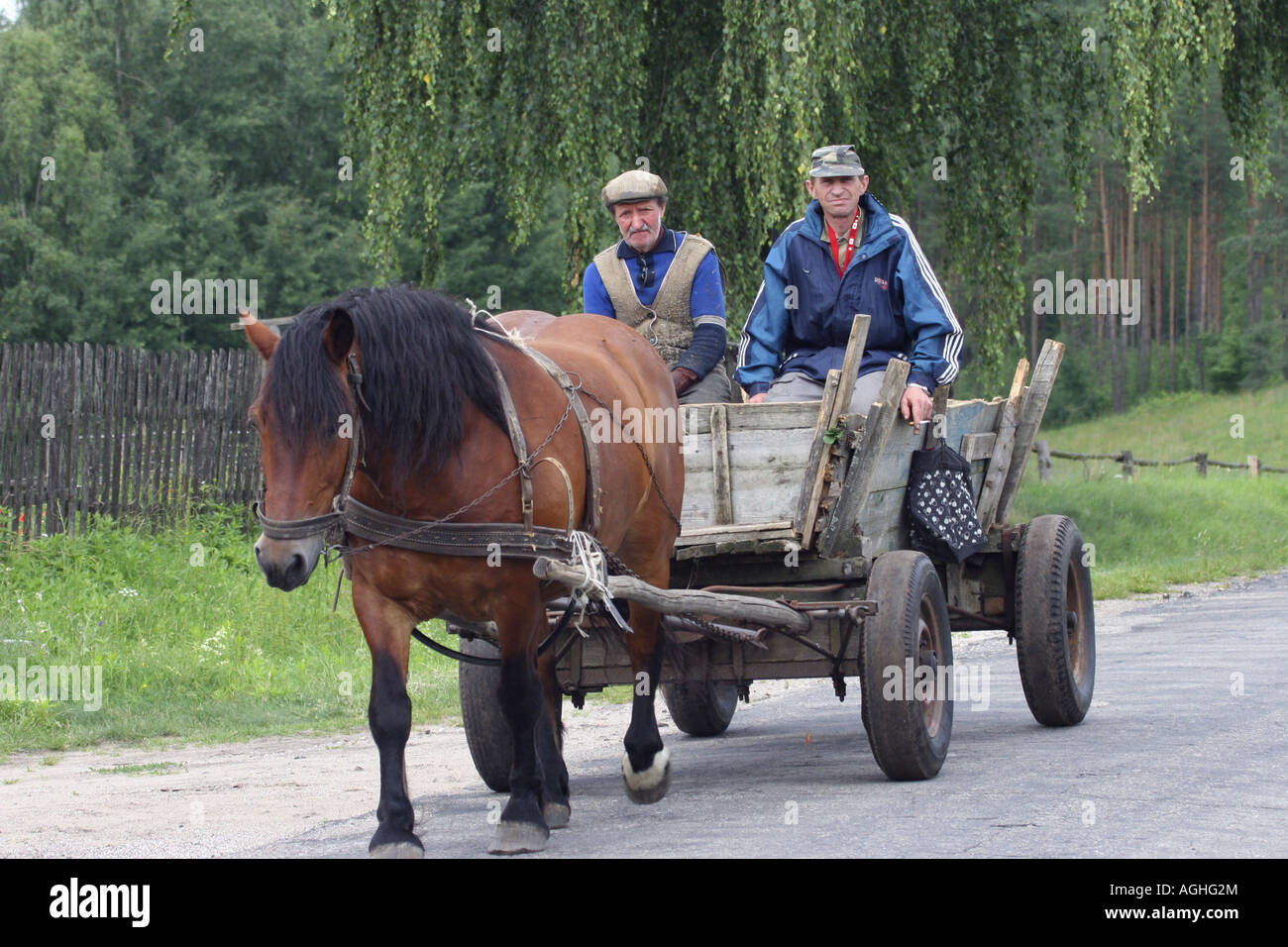 A cavallo il veicolo, la Polonia, la Masuria Foto Stock