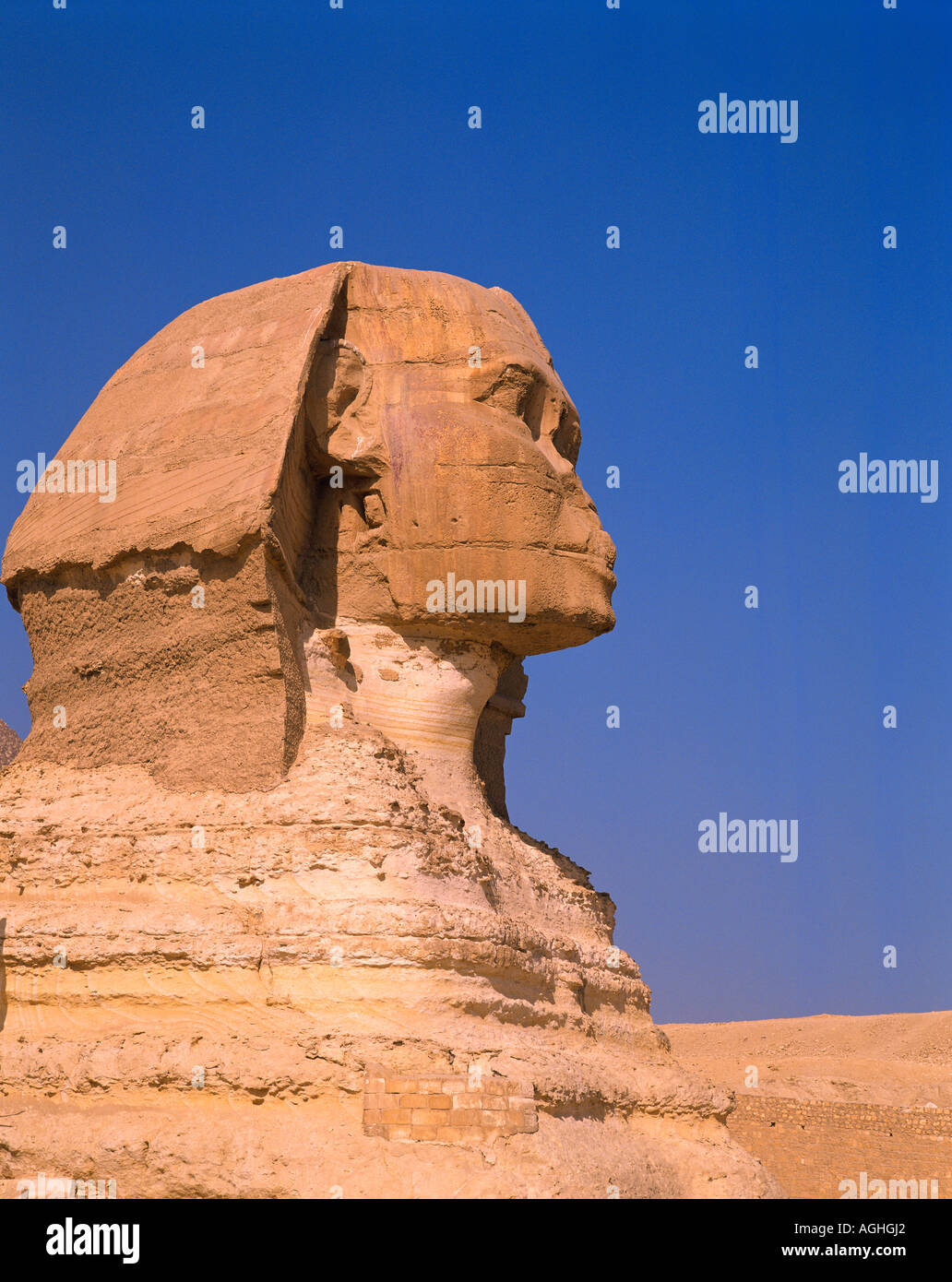 Egitto Cairo Giza Sfinge Foto Stock