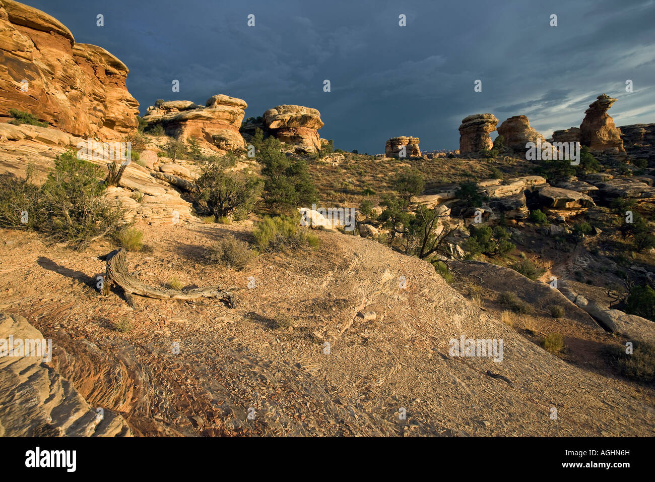 Canyonlands National Monument area sud dello Utah Foto Stock