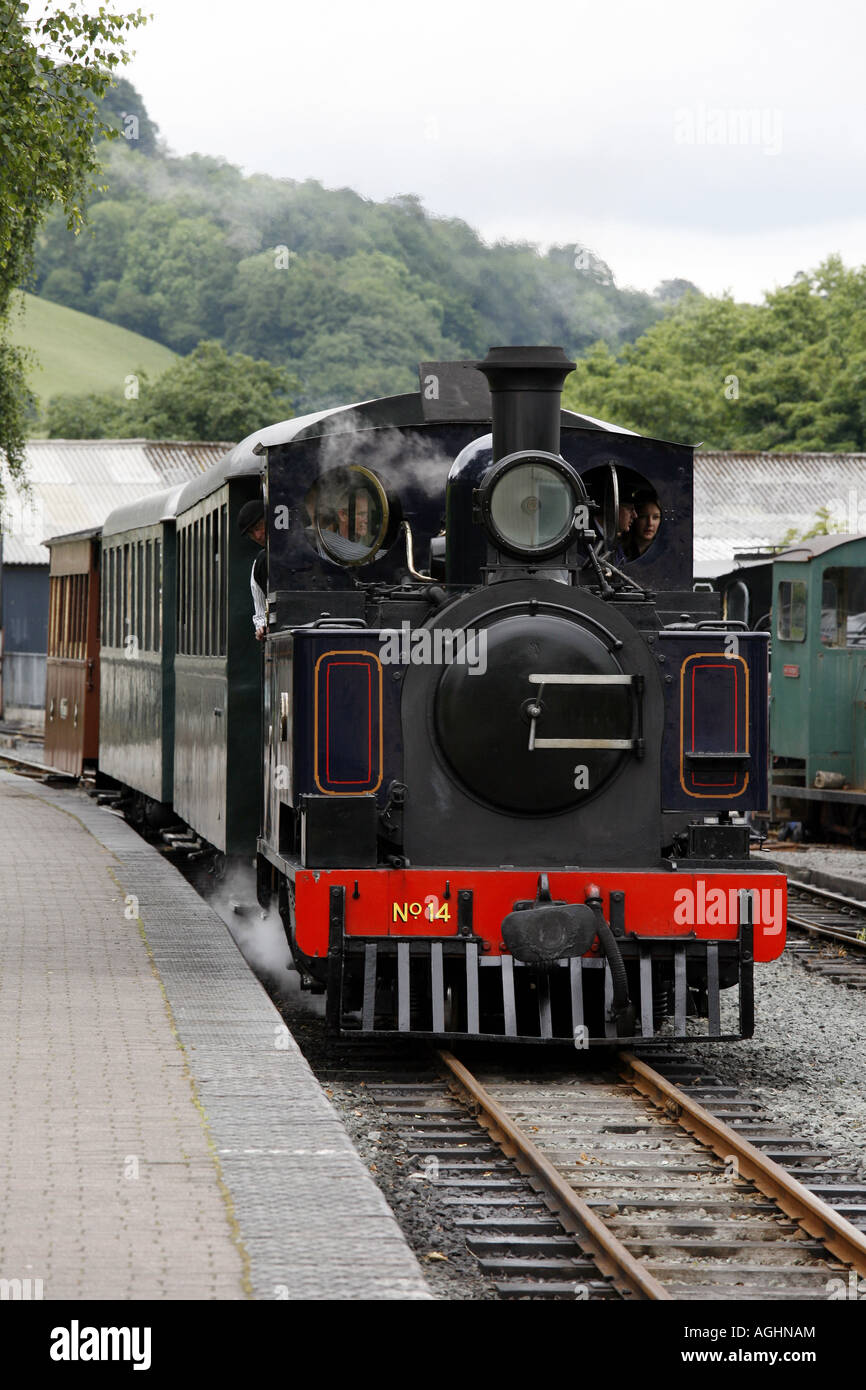 Welshpool Llanfair light railway Foto Stock