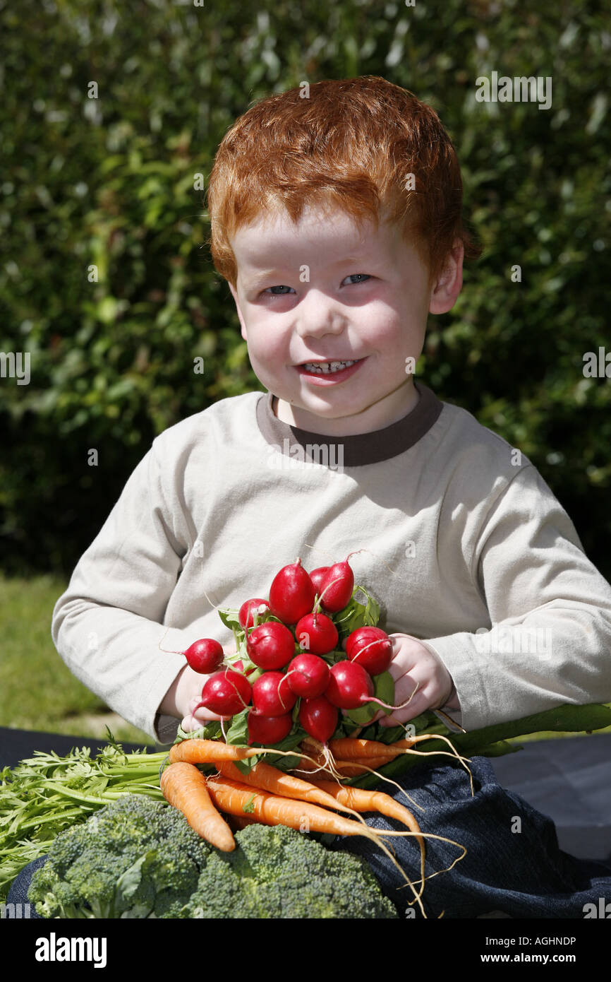 Ragazzo la raccolta di ortaggi da giardino Foto Stock