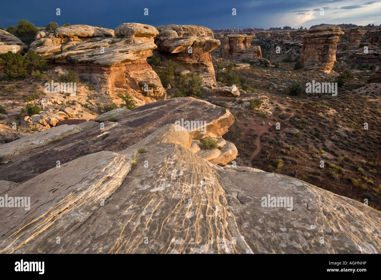 Canyonlands National Monument area sud dello Utah Foto Stock
