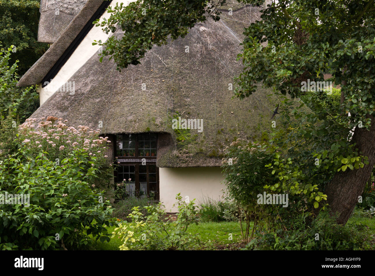 Parte del Bridge Cottage a Flatford storico nel Suffolk, Inghilterra Foto Stock