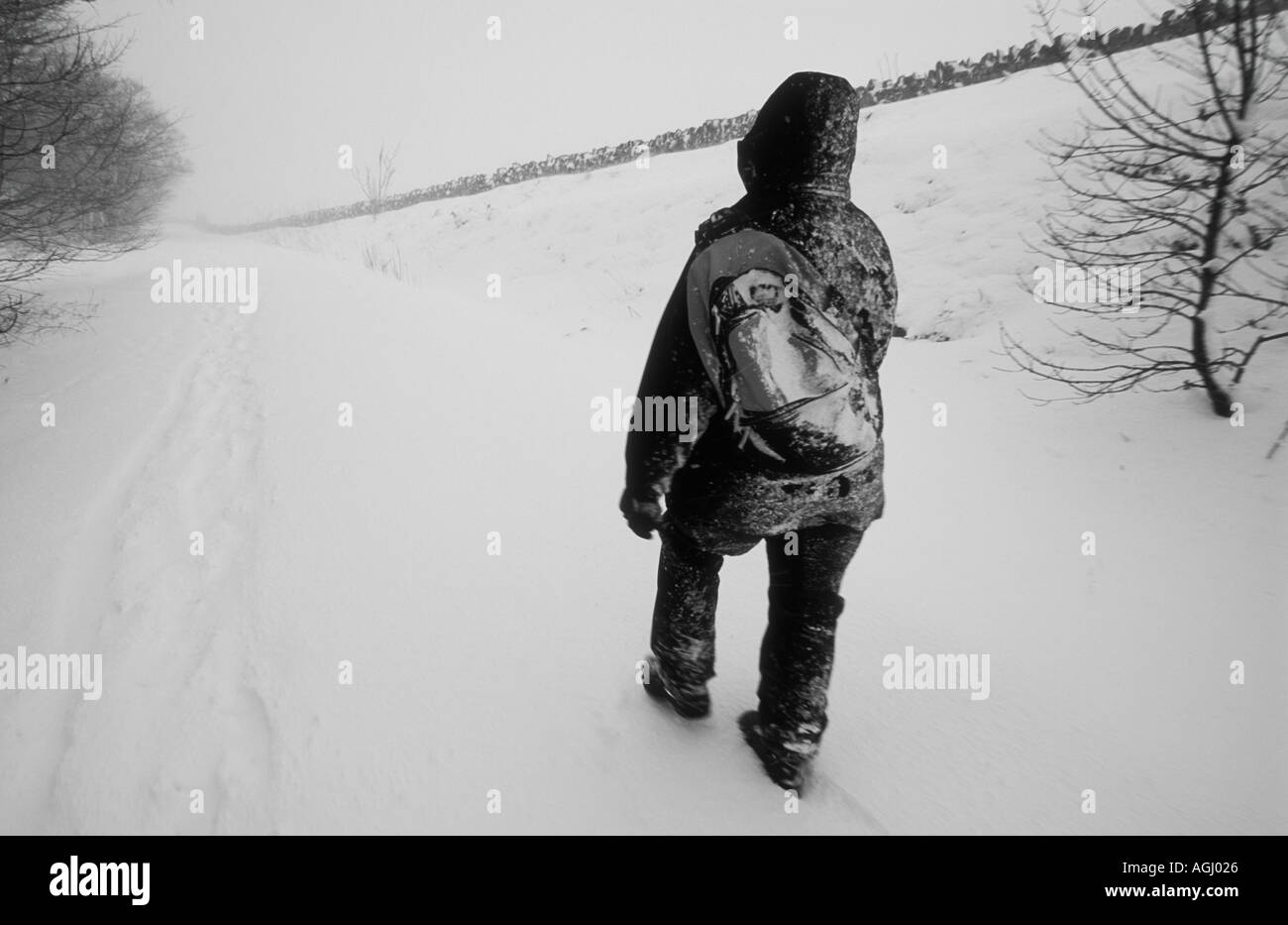 Escursionista solitario lottando per camminare attraverso la neve pesante nel Derbyshire Peak District GB REGNO UNITO Inghilterra EU Europe Foto Stock