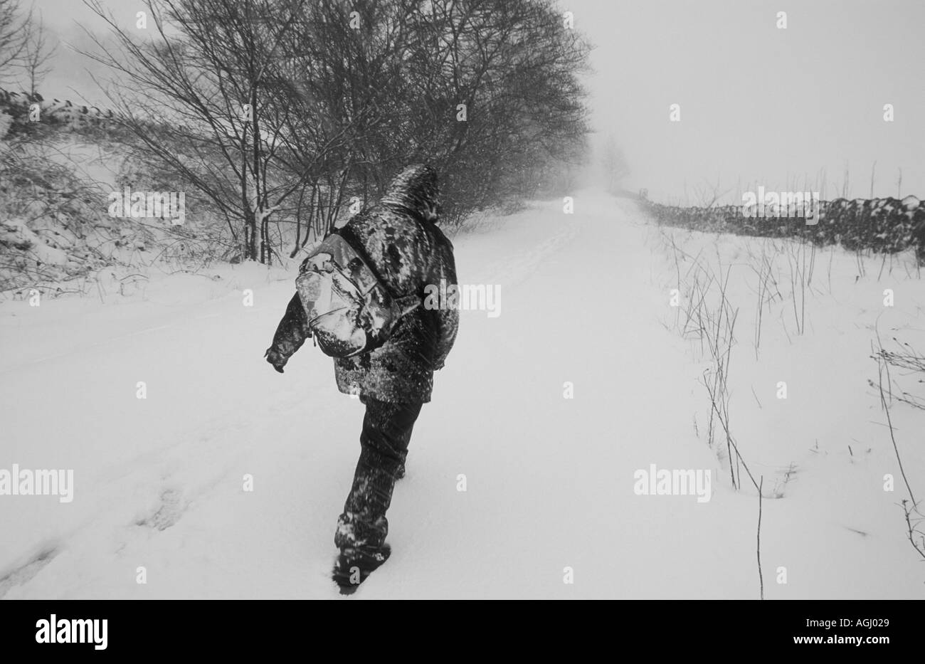 Escursionista solitario lottando per camminare attraverso la neve pesante nel Derbyshire Peak District GB REGNO UNITO Inghilterra EU Europe Foto Stock