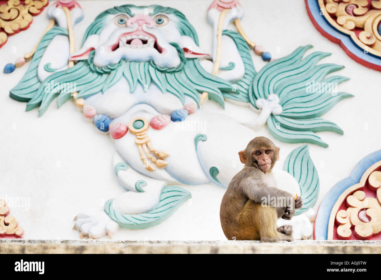 Macaco scimmia di fronte buddista tibetana neve leone statua in rilievo la pittura. Stupa Swayambhu, Kathmandu, Nepal Foto Stock