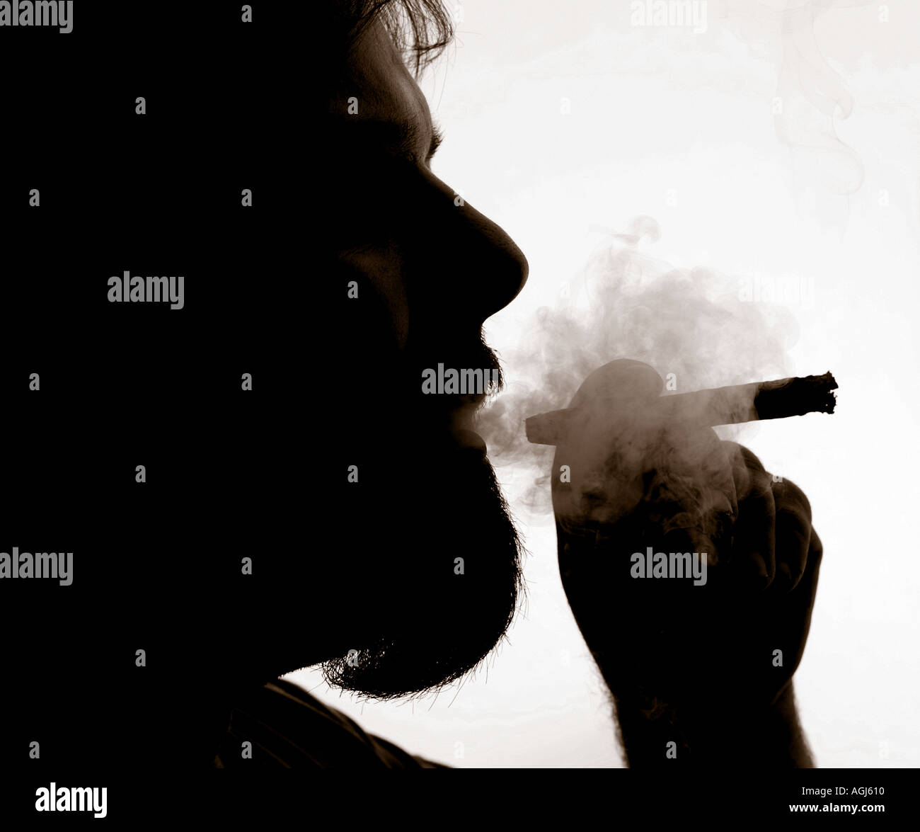 Fumatore di sigaro Foto Stock