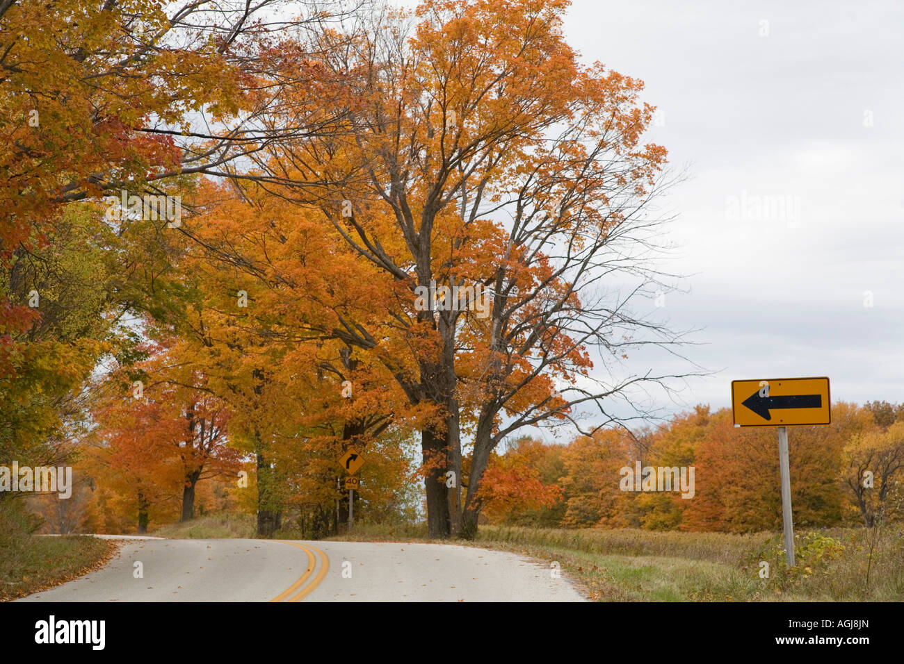 I colori dell'autunno in ottobre in Door County, WI Foto Stock