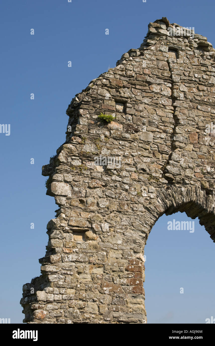 Rovine di St Dogmaels Abbazia fondata nel XII secolo ora gestito da CADW Foto Stock