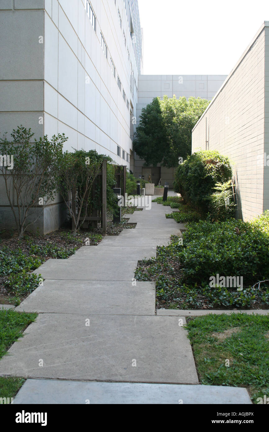 Percorso a piedi tra gli edifici presso la California State University di Sacramento, California, Stati Uniti d'America Foto Stock