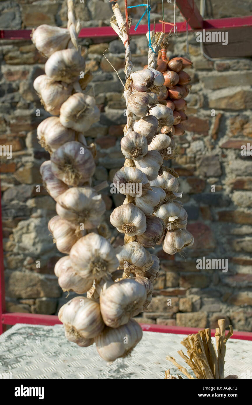 Stringhe di aglio bianco presso un commerciante DISPLAY Bretagna Francia Foto Stock