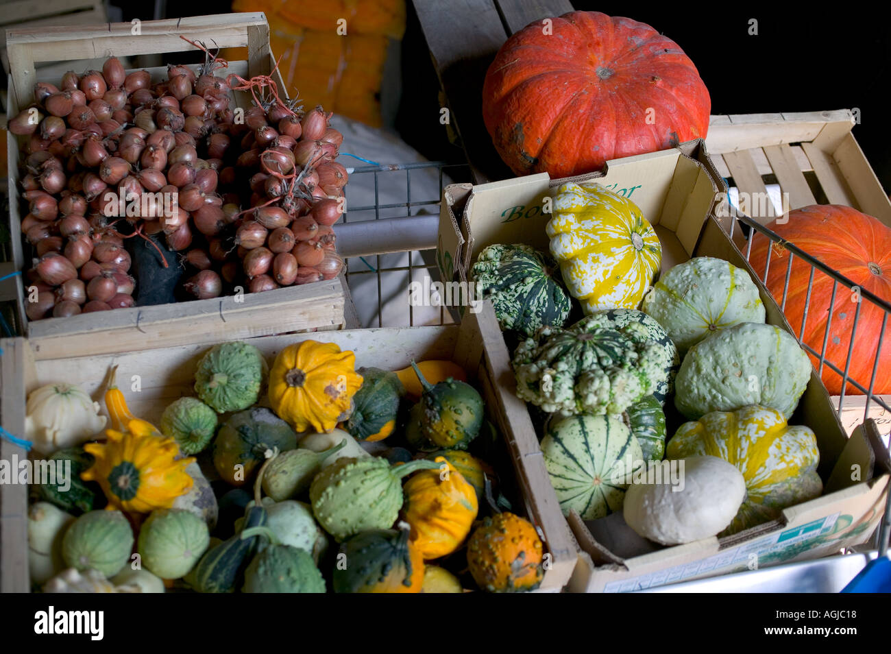 Assortimento di cucurbitacee zucche e scalogni Bretagna Francia Foto Stock