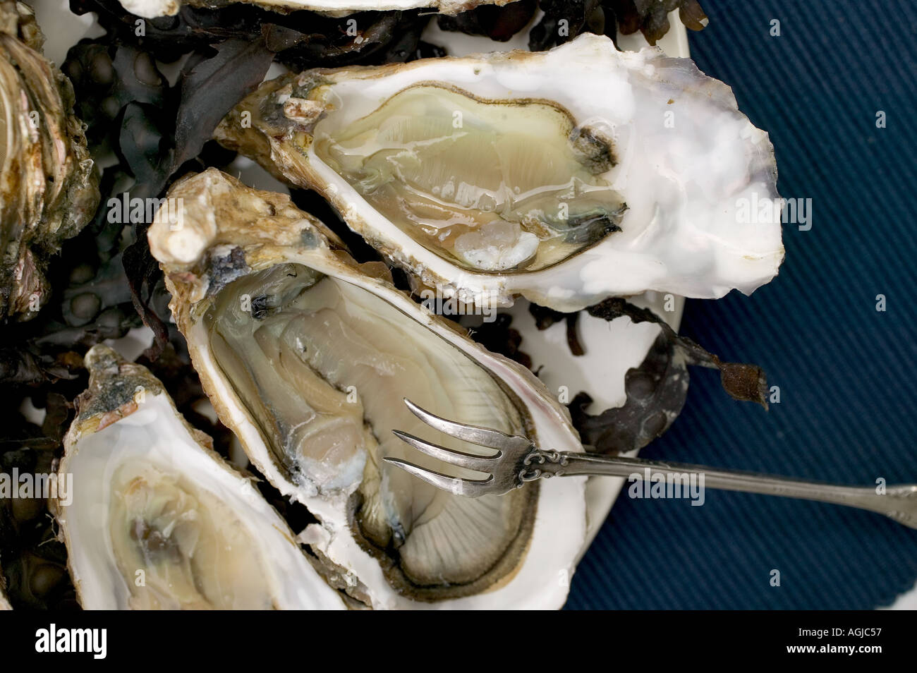 CANCALE CREUSE N° 2 ostriche e una forcella di argento Bretagna Francia Foto Stock