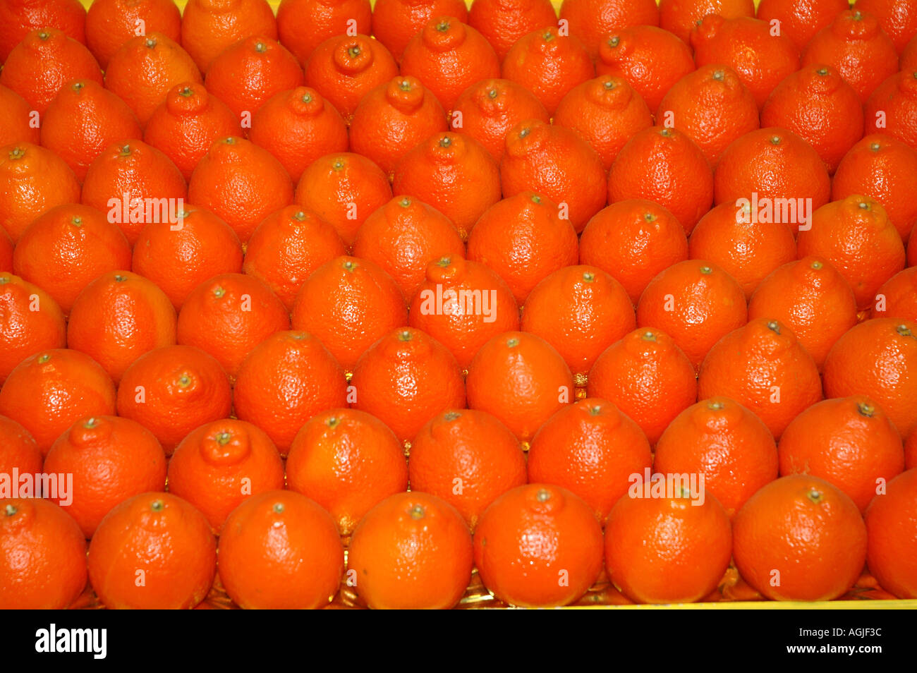 Tangelo Citrus paradisi Å Citrus reticulata sul display mostra agricola 2177 dsc Foto Stock