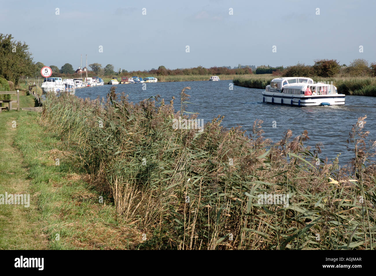 Broads cruiser sul fiume Bure vicino Acle, Norfolk Broads National Park Foto Stock