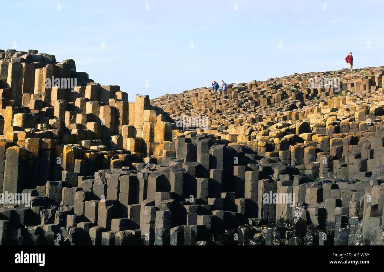 Il Selciato dei giganti vicino a Bushmills, Irlanda. Colonne esagonali di roccia basaltica vulcanica del favo e del Grand Causeway Foto Stock