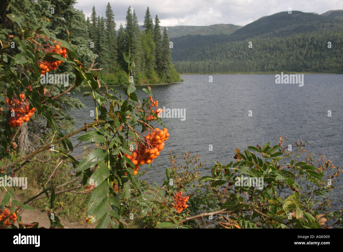 Byers lago Alaska USA Foto Stock