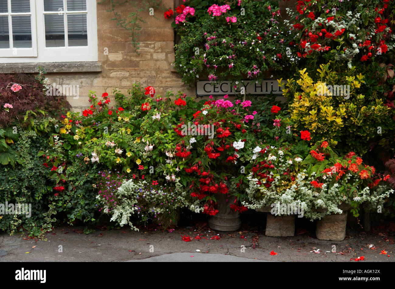 Un display floreali lungo Cecily Hill Cirencester Gloucestershire in Inghilterra Foto Stock