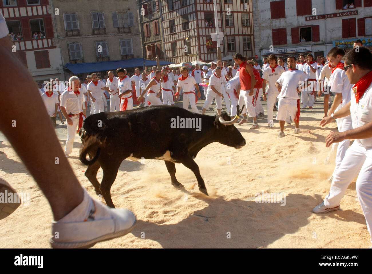 Bayonne festival Agosto 2007 Francia mucca nell'arena Foto Stock