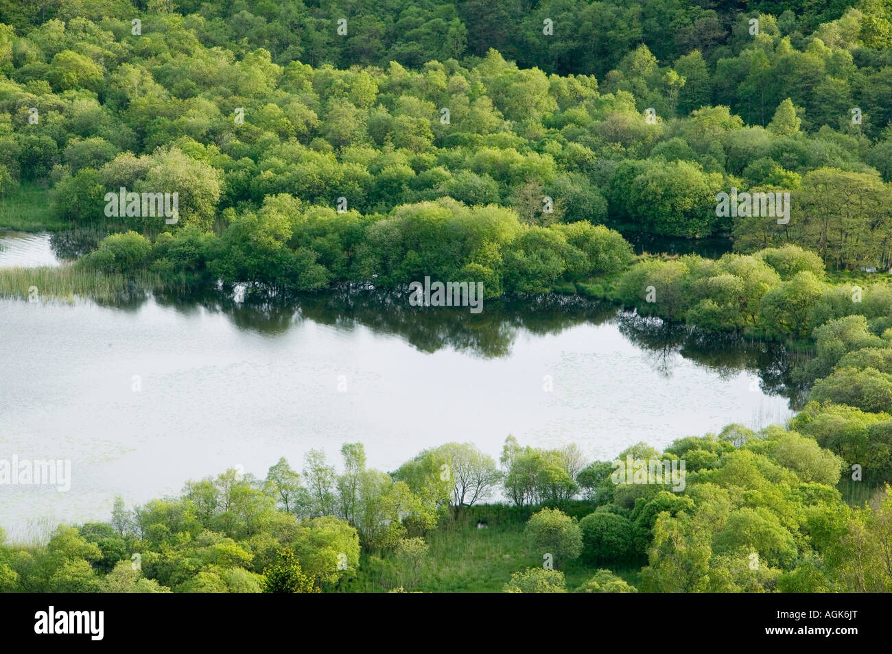 Rydal acqua, Parco Nazionale del Distretto dei Laghi, Cumbria, Regno Unito Foto Stock